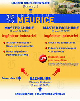 Affiche Institut Meurice